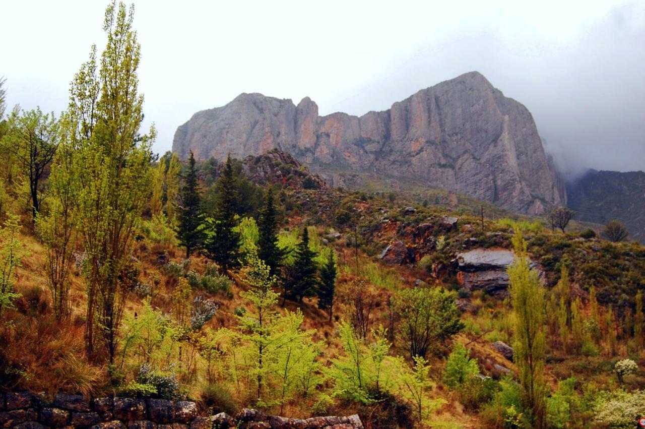 La Posada Del Arba El Frago Luaran gambar