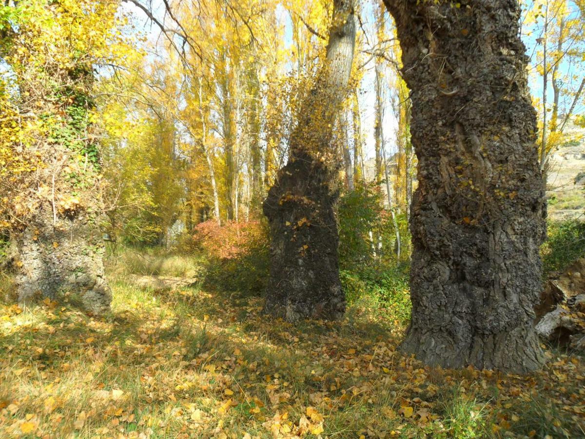 La Posada Del Arba El Frago Luaran gambar