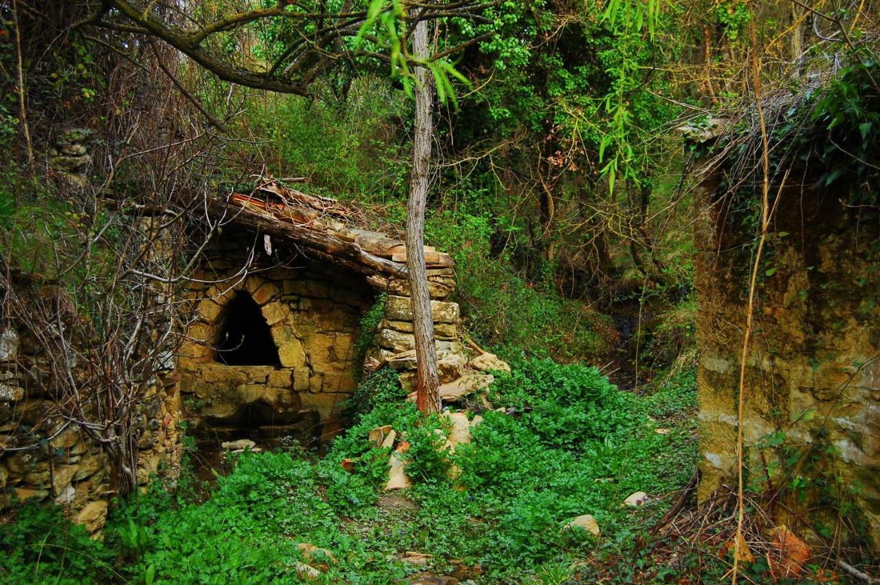 La Posada Del Arba El Frago Luaran gambar